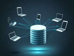 Penyebaran data nasabah